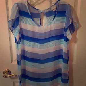 Blue Stripe Blouse Espressa Brand - 1X